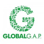 GLOBAL G.A.P認証を受けた食材が揃うとは考えにくいが…