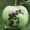「リンゴ黒星病」に農薬効かない耐性菌　県内でも確認